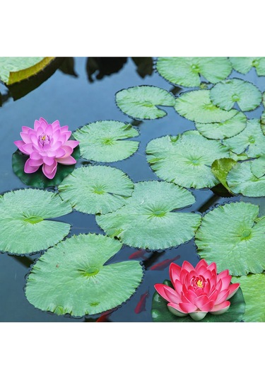 Hfambition 18cm Eva Sahte Lotus Çiçeği - Akvaryum, Havuz, Göl Dekorasyonu - Canlı Görünümlü, Su Üstünde Kayar, Dayanıklı