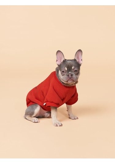 Cacti Küçük ve Orta Irk Köpekler İçin Köpek Sweatshirt