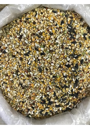 Güvercin Yemi Premium Buğdaysız 25 Kg Poşetli