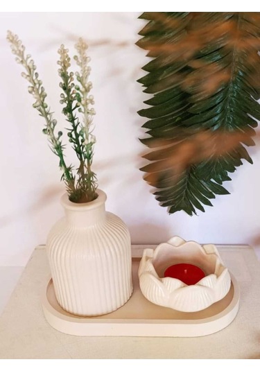 Vazo Seti Pampas Vazo Lotus Mumluk Dekoratif Tabak Biblo Seti 3 Parça Koyu Krem Renginde