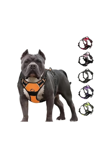 Maxaccess Köpek Yürüyüş Tasması, Anti-çekme Yastıklı Reflektif Xl Pembe Büyük Köpekler İçin