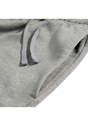 Puma Essentıals Small Logo Erkek 10" Şort 690434 03 Gri