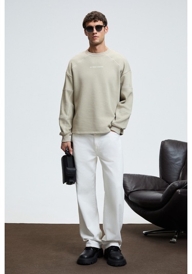 HAL Erkek Yuvarlak Yaka Önünde Ve Kollarında Süs Dikiş Detaylı Baskılı Regular Fit Taş Rengi Sweatsh