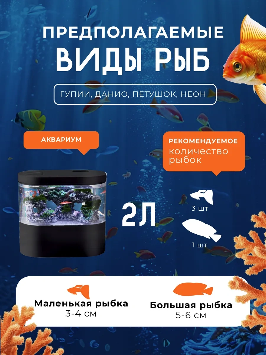 Innove Balıklar İçin Aydınlatmalı Ve Filtreli Akvaryum 267630185