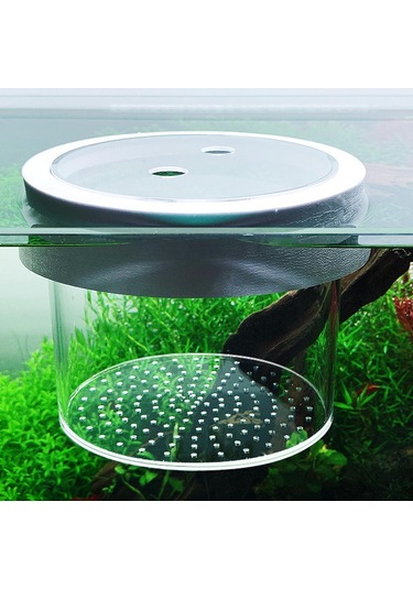 Suntek Yüzen Akvaryum Damızlık Kutusu Akrilik 15cmx12cm