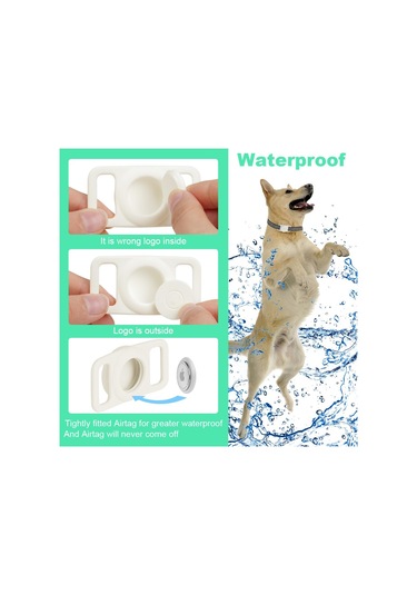 Lichen Şeffaf Aydınlık Yeşil-hava Etiketi Su Geçirmez Ve Kayıp Beyaz