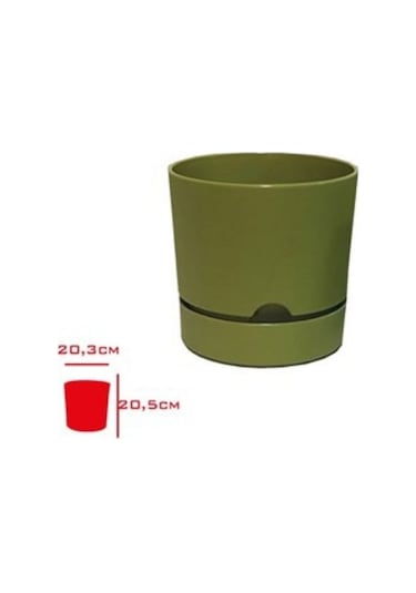 Polıwork Saksı Begonya 21 Cm Yosun Yeşili