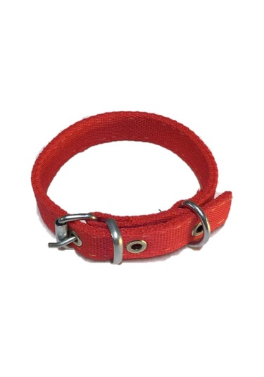 Kedi̇ - Köpek Tasmasi 40 CM