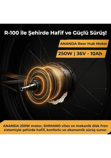 Roxform R-100 Elektrikli Katlanabilir Bisiklet 20 İnç Şehir Bisikleti Siyah