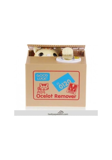 Para Çalan Hırsız Kedi Kumbara