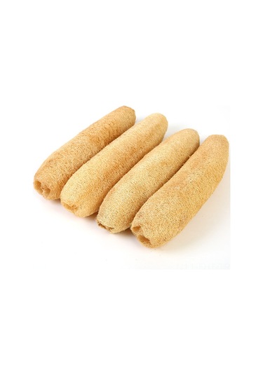 Hangfox Ev Kullanıma Ideal 30-39 Cm 3 Adet Doğal Patates Kabağı, Fırça Ve Yıkama Bezi İçin Dayanıklı Ve Pratik Kullanım Haki