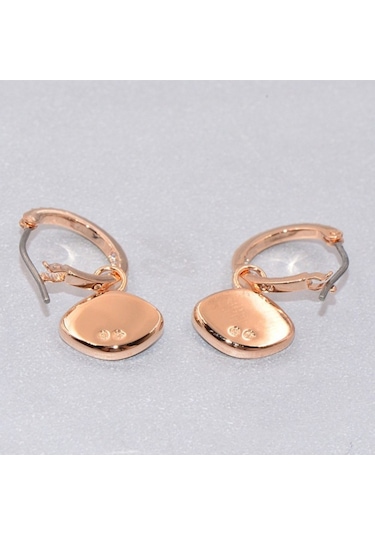 Swarovski Koleksiyonu Swa Sembolü