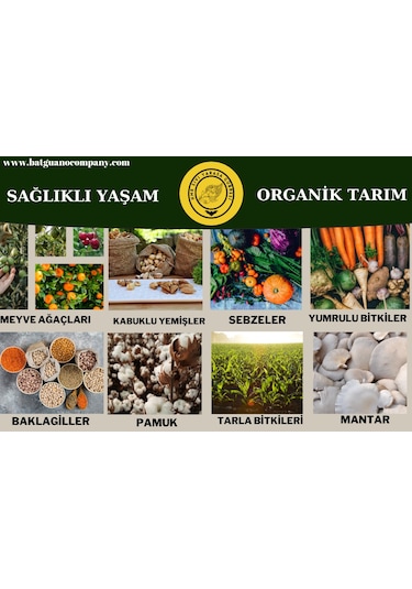 Hmk Sıvı Yarasa Gübresi 1+1 L.