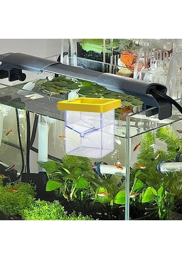 Suntek Yüzen Balık Yetiştirici Kutusu Palyaço Balığı