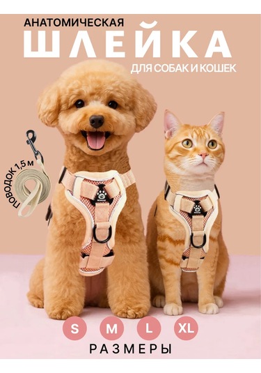 Tori Küçük Ve Orta Irklar İçin Tasmalı Köpek Kayışı Ve Kedi Şeridi 481285191
