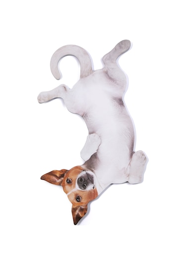 Mustard Dog -Asılabilir - Notluk