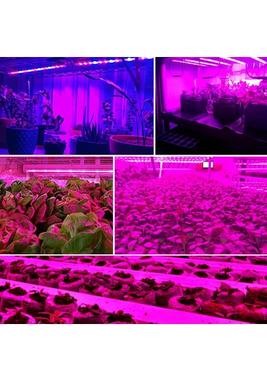 Singree Usb Led Bitki Yetiştirme Işığı, Su Geçirmez İç Mekan Hidroponik Bitki Büyütme Lambası, 60 Led'li 1 Metre Gösterildiği Gibi