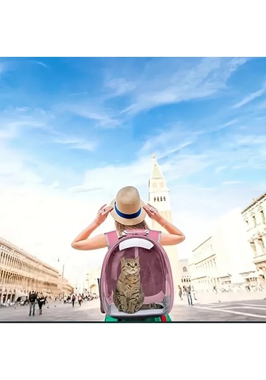 Willowhaven Gri Büyük Kapasiteli Şeffaf Kedi Sırt Çantası - Taşınabilir Havalandırmalı Taşıyıcı