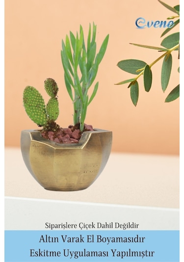 Saksı Çiçek Kaktüs Saksısı Lüx 15 Cm Gümüş Eskitme Varak Boyalı Önü Açık Desen Saksı Çiçeklik - Altın Eskitme