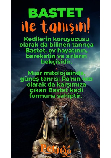 Petjoo 1.Bastet Turuncu-Yeşil Qr'lı Kedi Künyesi