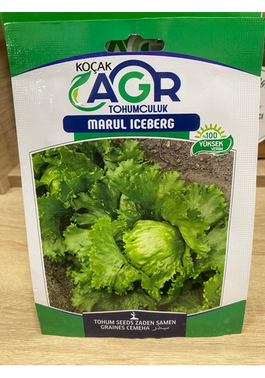 Agr Marul Iceberg Tohum 170 Adet 1 Paket