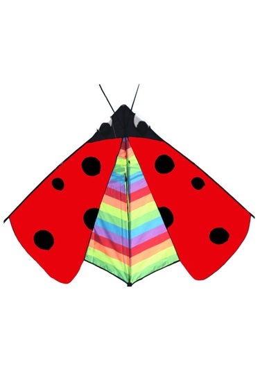 Suntek Delta Kite Fly Uçurtma Spor Bahçesi Için Büyük Kanat