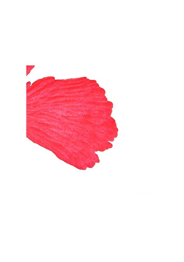 Qingmipy Akvaryum Dekorasyonu: Simülasyonlu Silikon Kırmızı Zıpkın Balık - Su Akışıyla Hareket Eden Süngüllü Ornament