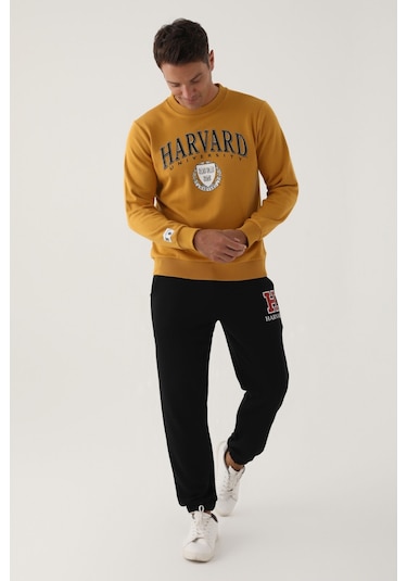Harvard Koyu Hardal Erkek Sweatshirt Hardal