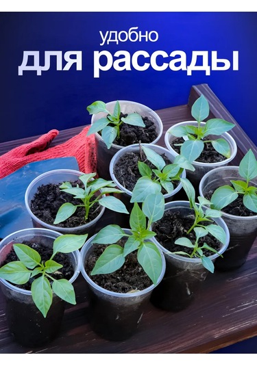 Torgovyj Dom "kupec" Tek Kullanımlık Plastik Şeffaf Bardaklar 100 Ml 373411472 100 adet