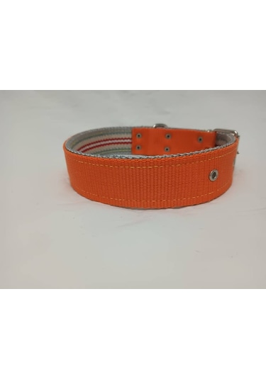 Kozaklı 10477 Büyük Irk Köpek Tasması Turuncu 70 x 4 CM