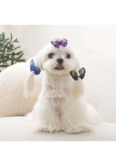 M-pets Glam Kelebekli Kedi Ve Köpekler İçin Aksesuar Toka Mavi Mor Ve Yeşil Mor