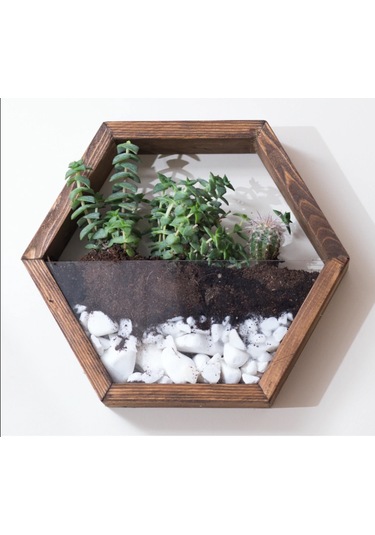 Tekli Ahşap Altıgen Duvar Saksısı (Kestane Rengi)