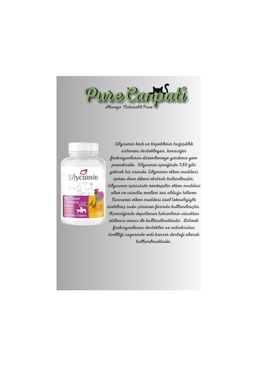 Purecanpati Köpek Vitamin Destek Seti Silycumin Calming Vitalidog