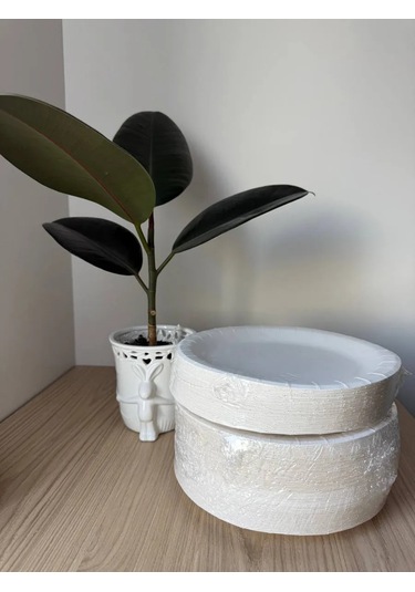 Euecopack Kağıt Tabaklar Tek Kullanımlık 23 Cm 100 Adet 338337188 100