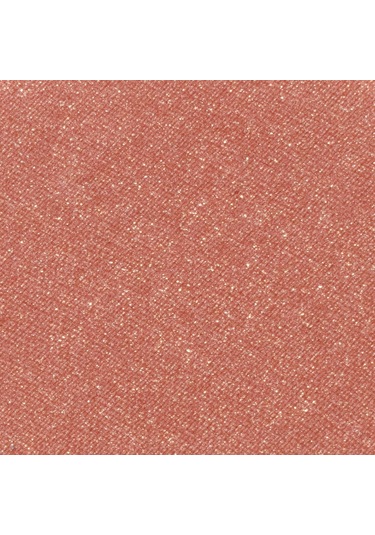 Inglot Radiant Skin Face Blush 40fb