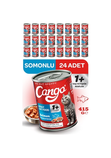 Cango Yetişkin Yaş Kedi Maması Somonlu 415gr 24lü