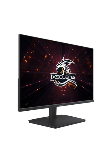 Dexim 24N11A 23.8'' 100 Hz 1 Ms (HDMI+VGA) FreeSync Adaptive Sync Full HD IPS PC Monitör