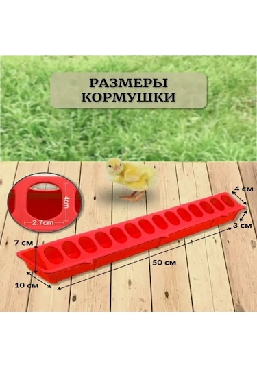 Pazly Çivciv Ve Kümes Hayvanları İçin Gözenekli Yemlik, Uzun Besleme Yalağı, 50cm, Plastik