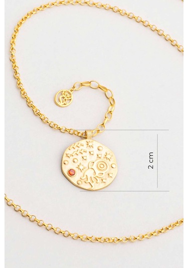 Kova Burcu 18 Ayar Sarı Altın Kaplama 45 Cm Gümüş Kolye Sarı