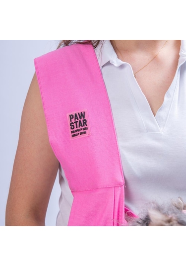 Pawstar Pembe Gabardin Çanta Kedi Köpek Taşıma Çantası