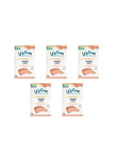Wellnax Pudra Efekti Dolap ve Çekmece Kokusu Kesesi 5 x 21 G