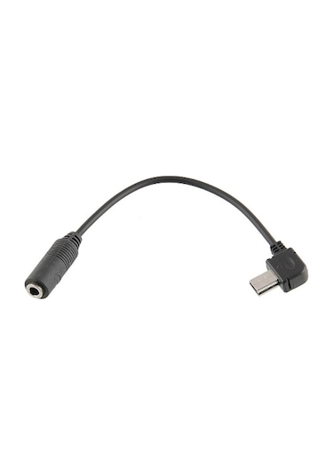 Cbtx Gopro Hero 4/3 +/3 Uyumlu Klipli + Mikrofon Adaptörü İle Mini Usb Mikrofonu