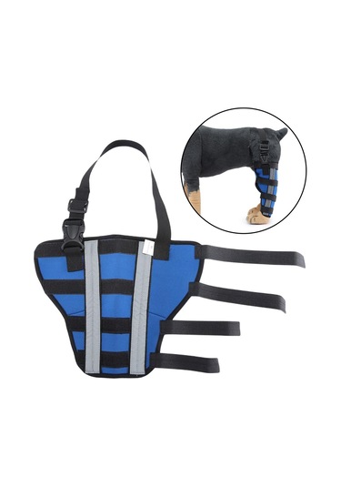 Homyl Pet Köpek Bacak Brace Arka Sıkıştırma Wrap M-mavi