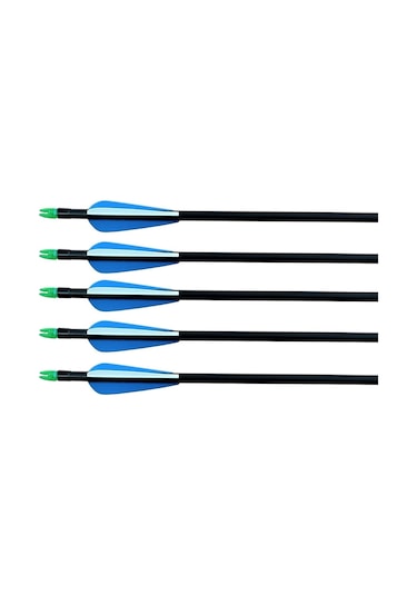 Topoint 30'' Değişebilen Uç Fiberglass Ok 12'li Paket