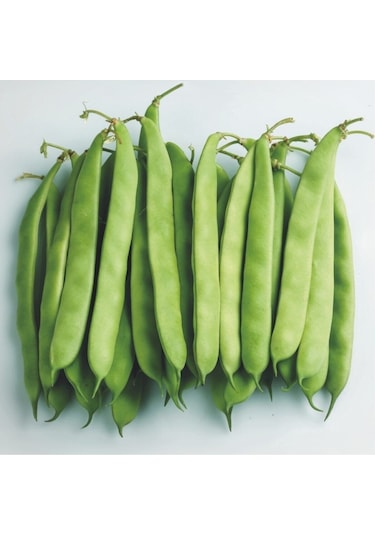 Asya Oturak Fasülye Tohumu 2 Kg