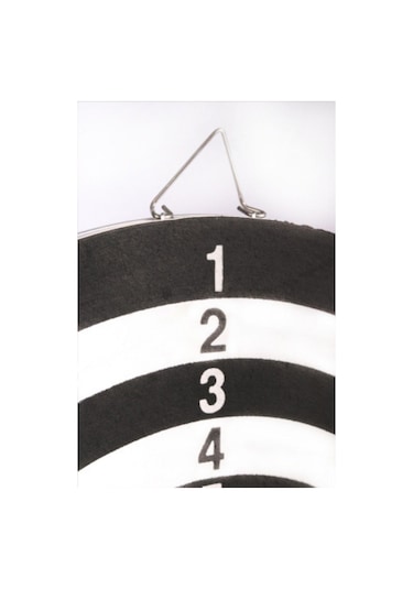 Delta Dart Seti 38 Cm 15 İnç + 6 Dart Oku 6 Gr Hedef Tahtası Sde159