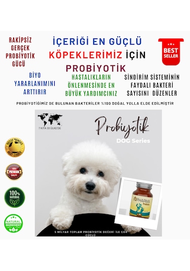 Rb Pharma Çok Güçlü Probiyotik 80 G