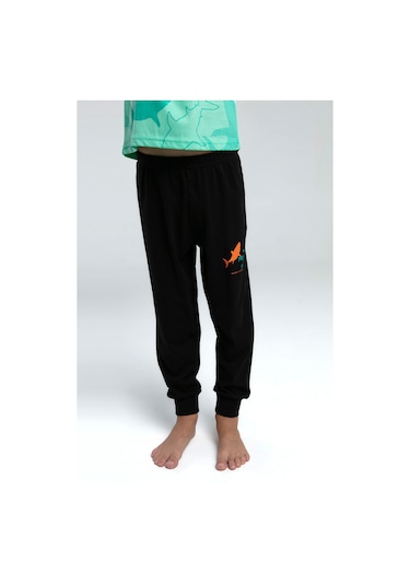 Rolypoly Erkek Çocuk Yeşil Pijama Takımı 5274-47551 Yeşil