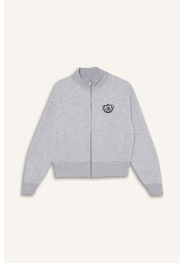 Defacto Loose Fıt Baskılı Fermuarlı Sweatshirt G8117ax26spgr256 Gri-gr256
