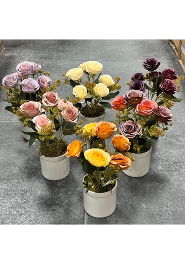 Saksılı Pastel Garnitürlü Lüx Gül 6dl